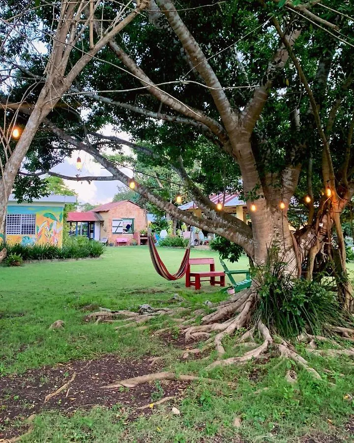 Campito Loving Bed & Breakfast Higuey