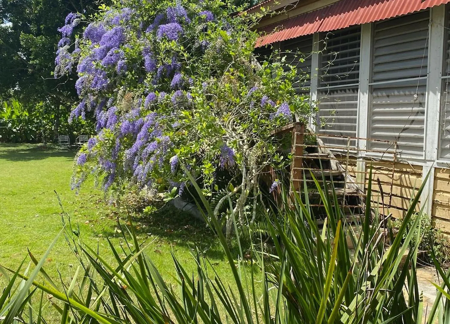 Campito Loving Bed & Breakfast Higuey