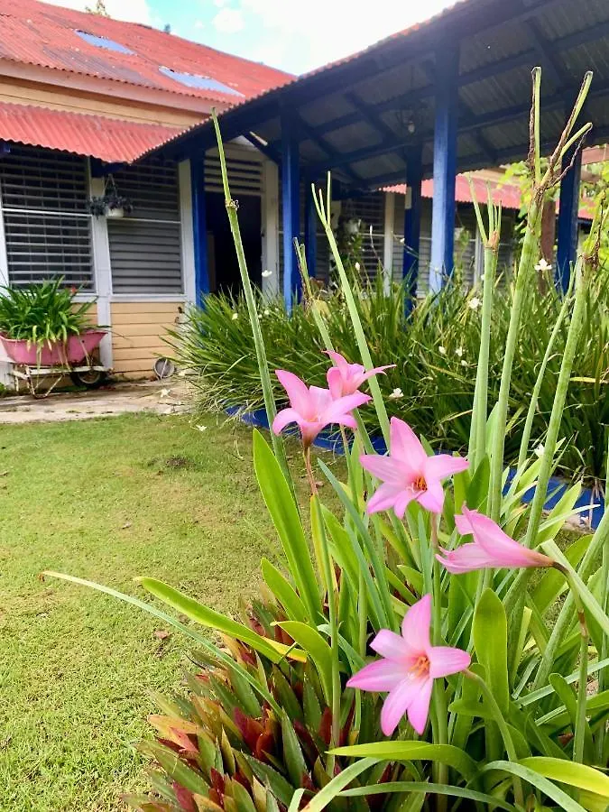 Bed and Breakfast Campito Loving Higüey